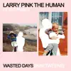 WASTED DAYS (INBETWEENS) [feat. IDLES] - Single album lyrics, reviews, download
