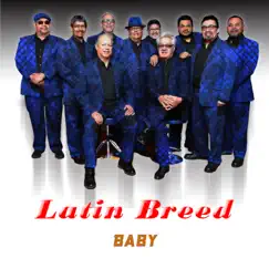 Baby - Single by Latin Breed album reviews, ratings, credits
