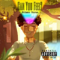 Can You Feel? - Single by Will2Fried album reviews, ratings, credits