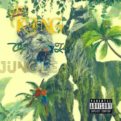 King of the Jungle - Single by Kin6 Kashius album reviews, ratings, credits