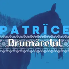 Brumarelul - Single by Patrice album reviews, ratings, credits