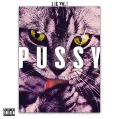 Pussy - Single by She Wolf album reviews, ratings, credits