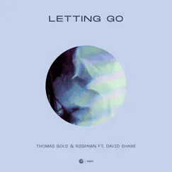 Letting Go (feat. David Shane) Song Lyrics