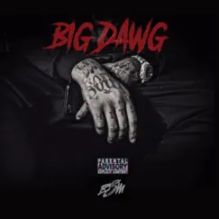 Big Dawg - Single by Waka Flocka Flame album reviews, ratings, credits