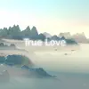 True Love - Single album lyrics, reviews, download