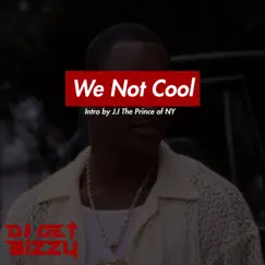 We Not Cool (feat. J.I the Prince of N.Y) - Single by DJ Get Bizzy album reviews, ratings, credits