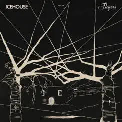 ICEHOUSE Plays Flowers Live by ICEHOUSE album reviews, ratings, credits