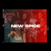 New Spice - Single album lyrics, reviews, download