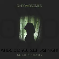 Where Did You Sleep Last Night (feat. Kellie Kingsbury) - Single by Chromosomes album reviews, ratings, credits