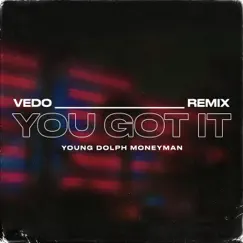You Got It - Single (Remix) by VEDO, Young Dolph & Money Man album reviews, ratings, credits