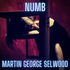 Numb by Martin George Selwood album reviews, ratings, credits