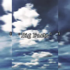 Big Facts - Single by RECK album reviews, ratings, credits