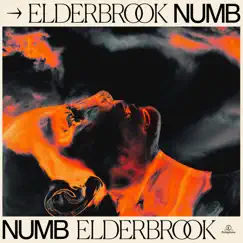 Numb (Elderbrook VIP) Song Lyrics