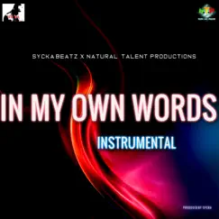 In My Own Words - Single by Sycka album reviews, ratings, credits