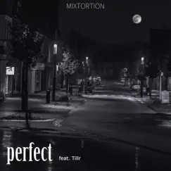 Perfect (feat. Tillr) Song Lyrics