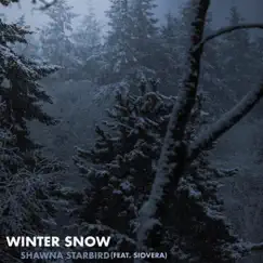 Winter Snow (feat. Siovera) Song Lyrics