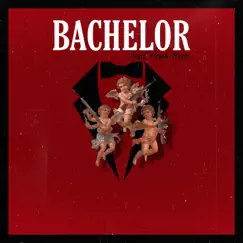 Bachelor (feat. Cash Rari) [Radio Edit] - Single by Vanni Allan Poe album reviews, ratings, credits