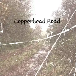Copperhead Road - Single by Paul Jupe album reviews, ratings, credits