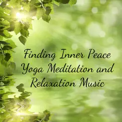 Finding Inner Peace - Yoga Meditation and Relaxation Music by Namasté Waheguru album reviews, ratings, credits