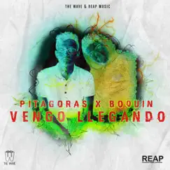 Vengo Llegando - Single by Pitagoras & Boquin album reviews, ratings, credits