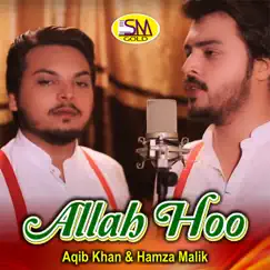 Allah Hoo - Single by Aqib Khan & Hamza Malik album reviews, ratings, credits