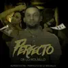 Perfecto De Lo Bolsillo - Single album lyrics, reviews, download