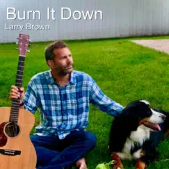 Burn It Down - Single by Larry Brown album reviews, ratings, credits