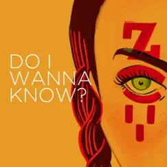 Do I Wanna Know? Song Lyrics