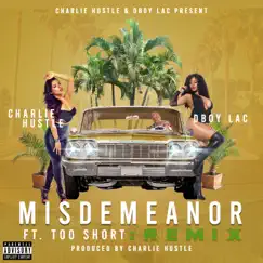Misdemeanor (Remix) [feat. Too $hort] Song Lyrics