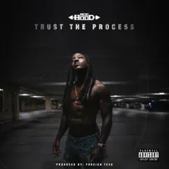 Trust the Process by Ace Hood album reviews, ratings, credits