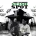Stash Spot (feat. Rylo Rodriguez) - Single album cover