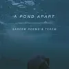 A Pond Apart (feat. Terem) album lyrics, reviews, download