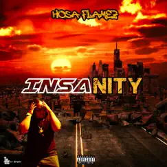 Insanity - Single by Hosa Flamez album reviews, ratings, credits