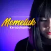 MEMELUK KERAPUHANMU - Single album lyrics, reviews, download