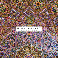 Wake Up Now by Nick Mulvey album reviews, ratings, credits