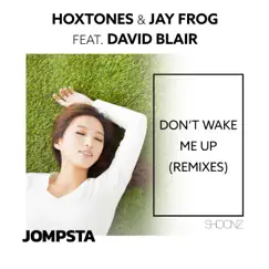 Don't Wake Me Up (feat. David Blair) [Marco W. Extended Remix] Song Lyrics
