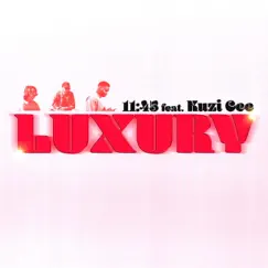 Luxury (feat. Kuzi Cee) Song Lyrics