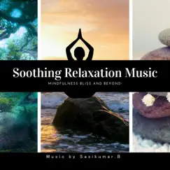 Soothing Realxation One by Sasikumar B. album reviews, ratings, credits