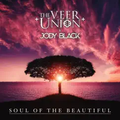 Soul of the Beautiful Song Lyrics