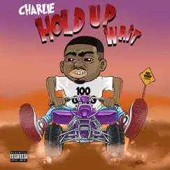 Hold Up Wait - Single by Charlie album reviews, ratings, credits