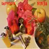 Ninja (feat. King Coven) - Single album lyrics, reviews, download