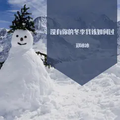 没有你的冬季我该如何过 - Single by Zheng Bing Bing album reviews, ratings, credits