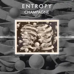 Entropy - Single by Champagnehatesmusic album reviews, ratings, credits