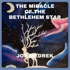 The Miracle of the Bethlehem Star Song Lyrics