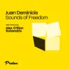 Sounds of Freedom (Subandrio, Alex O'Rion Remix) - Single album lyrics, reviews, download