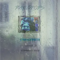 Raindrops - Single by Strange Breed album reviews, ratings, credits