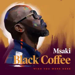 Wish You Were Here (feat. Msaki) - Single by Black Coffee album reviews, ratings, credits