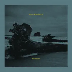 Partners by Peter Broderick album reviews, ratings, credits