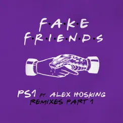 Fake Friends (feat. Alex Hosking) [Tom Hall Remix] Song Lyrics