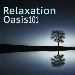 Relaxation Oasis 101 - Pure Meditative Zen Songs, Finding Bliss, Chakra Clearing and Balancing by Yoga Oasis album reviews, ratings, credits